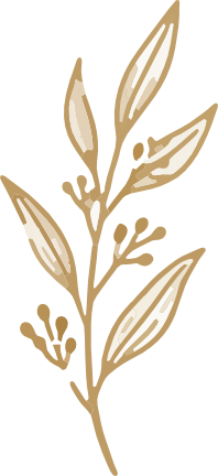 Icon leaves2