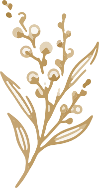Icon leaves3
